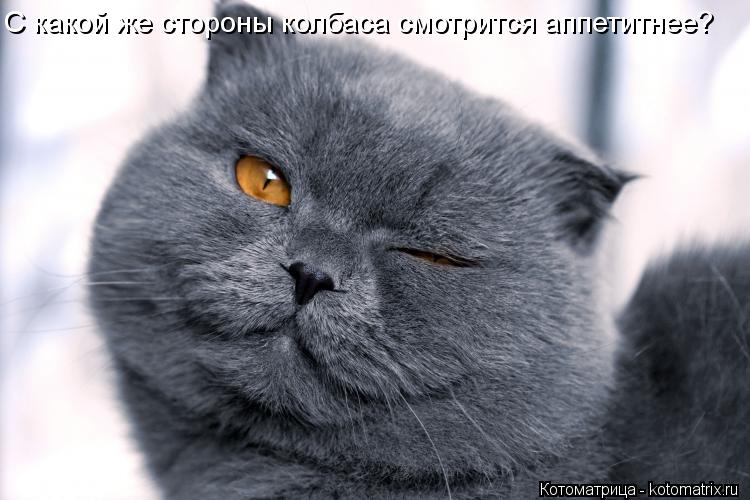 C какой же стороны колбаса смотрится аппетитнее?... Котоматрица: C какой же стороны колбаса смотрится аппетитнее?