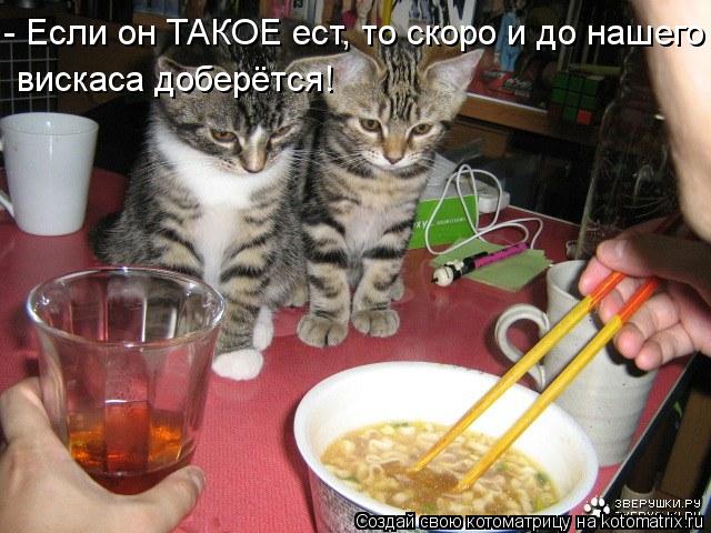 - Если он ТАКОЕ ест, то скоро и до нашего вискаса доберётся!... Котоматрица: - Если он ТАКОЕ ест, то скоро и до нашего вискаса доберётся!