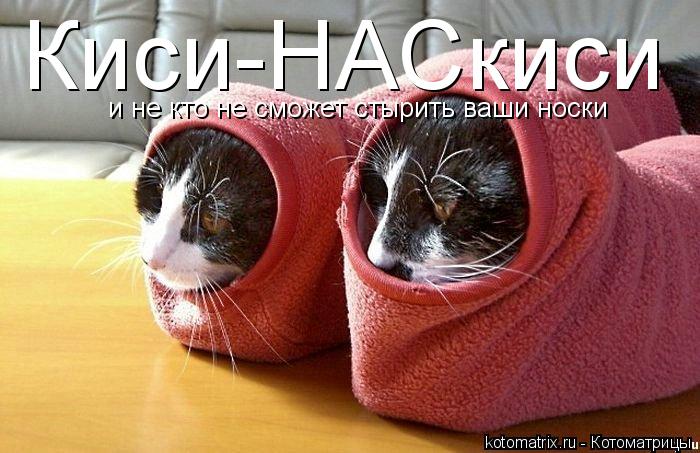 Киси-НАСкиси и не кто не сможет стырить ваши носки... Котоматрица: Киси-НАСкиси и не кто не сможет стырить ваши носки