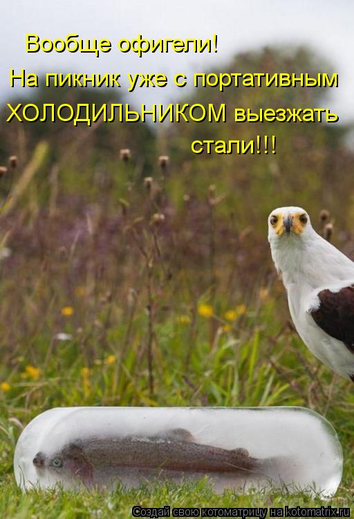 Вообще офигели! На пикник уже с портативным ХОЛОДИЛЬНИКОМ выезжать стали!!!... Котоматрица: Вообще офигели! На пикник уже с портативным ХОЛОДИЛЬНИКОМ выезжать стали!!!