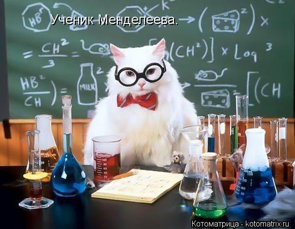 Ученик Менделеева.... Котоматрица: Ученик Менделеева.
