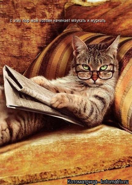 с этих пор мой хозяин начинает мяукать и муркать... Котоматрица: с этих пор мой хозяин начинает мяукать и муркать