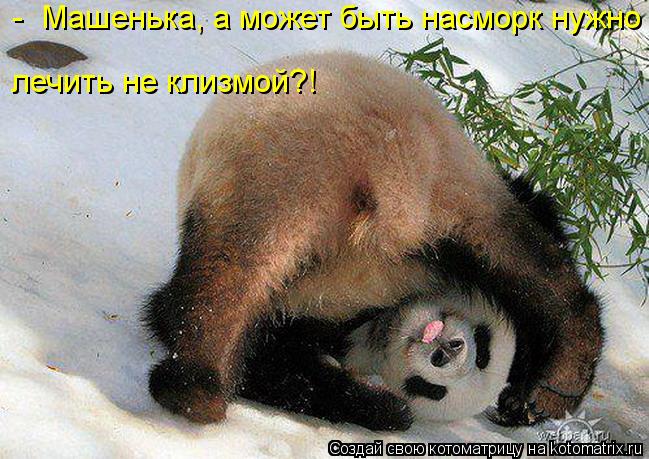 - Машенька, а может быть насморк нужно лечить не клизмой?!... Котоматрица: - Машенька, а может быть насморк нужно лечить не клизмой?!