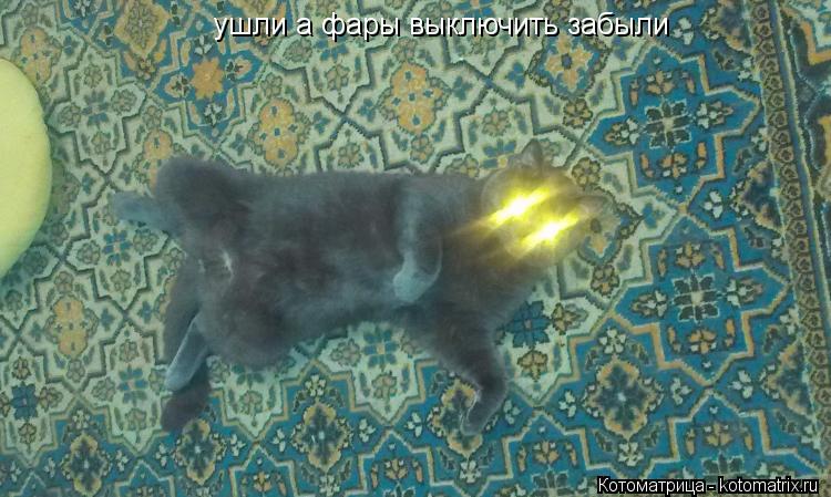 ушли а фары выключить забыли... Котоматрица: ушли а фары выключить забыли