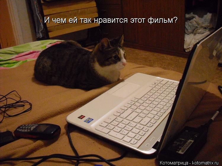 И чем ей так нравится этот фильм?... Котоматрица: И чем ей так нравится этот фильм?