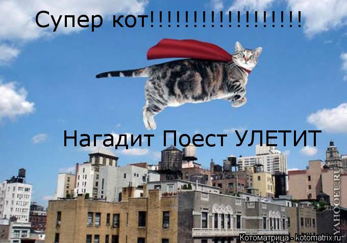 Супер кот!!!!!!!!!!!!!!!!!! Нагадит Поест УЛЕТИТ... Котоматрица: Супер кот!!!!!!!!!!!!!!!!!! Нагадит Поест УЛЕТИТ