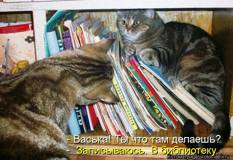 - Васька! Ты что там делаешь? - Записываюсь. В библиотеку.... Котоматрица: - Васька! Ты что там делаешь? - Записываюсь. В библиотеку.