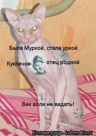 Была Муркой, стала уркой. Куклачов- отец родной Век воли не видать!... Котоматрица: Была Муркой, стала уркой. Куклачов- отец родной Век воли не видать!