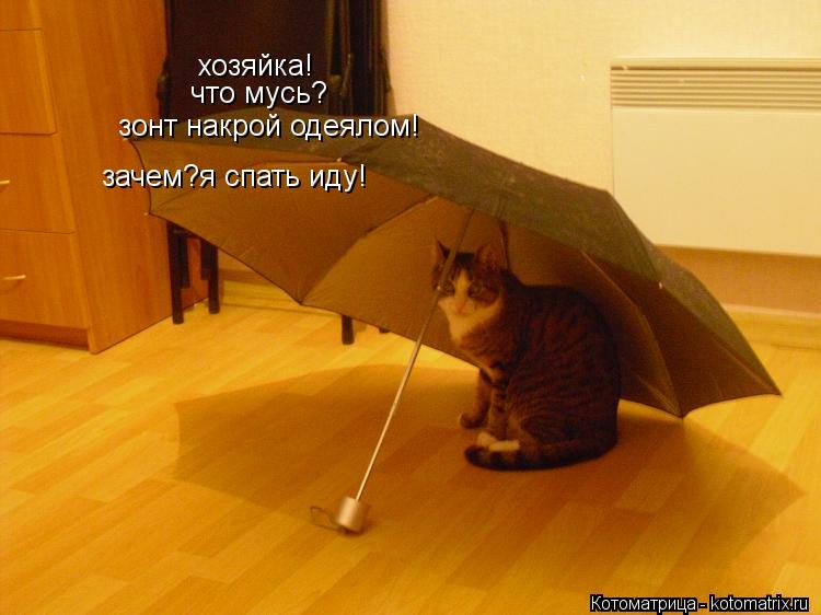 хозяйка! что мусь? зонт накрой одеялом! зачем?я спать иду! ... Котоматрица: хозяйка! что мусь? зонт накрой одеялом! зачем?я спать иду! - и я!