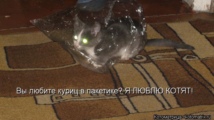 Вы любите куриц в пакетике? Я ЛЮБЛЮ КОТЯТ!... Котоматрица: Вы любите куриц в пакетике? Я ЛЮБЛЮ КОТЯТ!