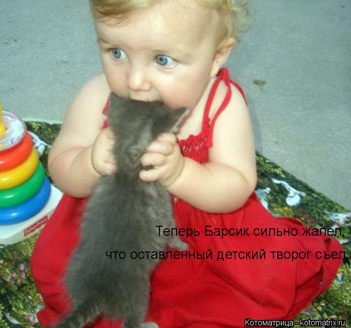 Теперь Барсик сильно жалел, что оставленный детский творог съел.... Котоматрица: Теперь Барсик сильно жалел, что оставленный детский творог съел.