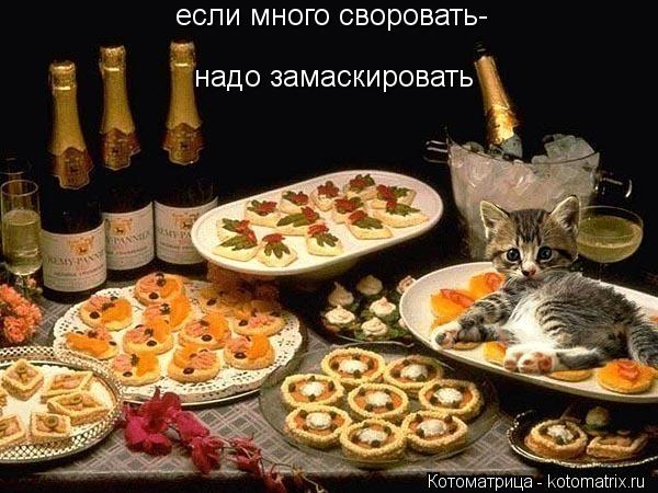 если много своровать- надо замаскировать... Котоматрица: если много своровать- надо замаскировать