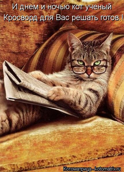 И днем и ночью кот ученый Кросворд для Вас решать готов.!... Котоматрица: И днем и ночью кот ученый Кросворд для Вас решать готов.!