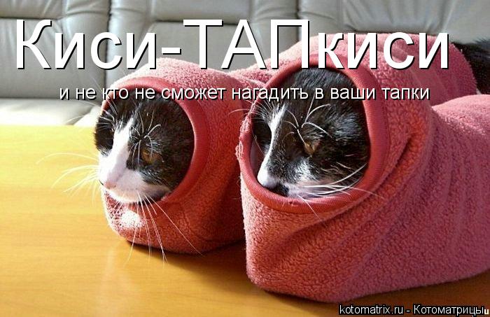 Киси-ТАПкиси и не кто не сможет нагадить в ваши тапки... Котоматрица: Киси-ТАПкиси и не кто не сможет нагадить в ваши тапки