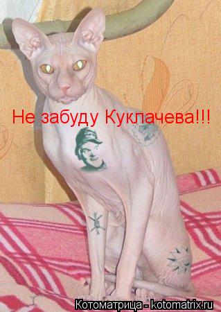 Не забуду Куклачева!!!... Котоматрица: Не забуду Куклачева!!!