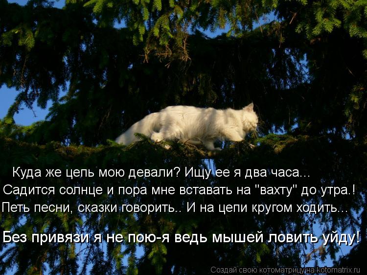 Куда же цепь мою девали? Ищу ее я два часа... Садится солнце и пора мне вставать на "вахту" до утра.!... Котоматрица: Куда же цепь мою девали? Ищу ее я два часа... Садится солнце и пора мне вставать на "вахту" до утра.! Петь песни, сказки говорить.. И на цепи круг