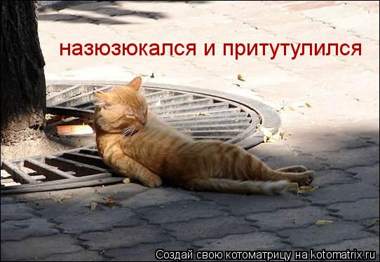 назюзюкался и притутулился... Котоматрица: назюзюкался и притутулился