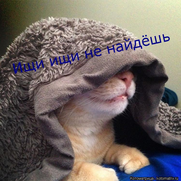 Ищи ищи не найдёшь... Котоматрица: Ищи ищи не найдёшь