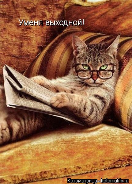 Уменя выходной!... Котоматрица: Уменя выходной!