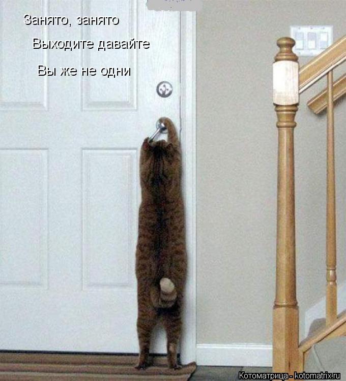 Занято, занято Занято, занято Выходите давайте Вы же не одни Вы же не одни... Котоматрица: Занято, занято Занято, занято Выходите давайте Вы же не одни Вы же не одни
