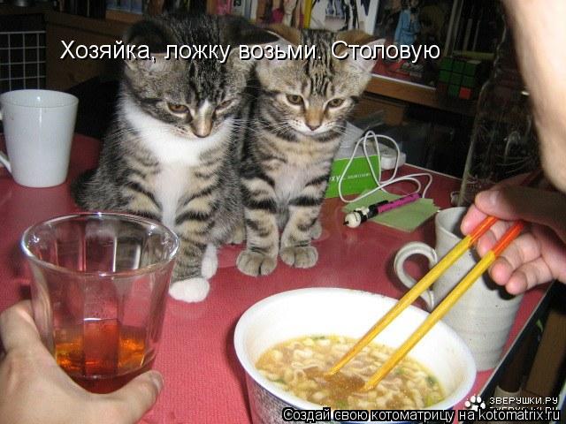 Хозяйка, ложку возьми. Столовую... Котоматрица: Хозяйка, ложку возьми. Столовую
