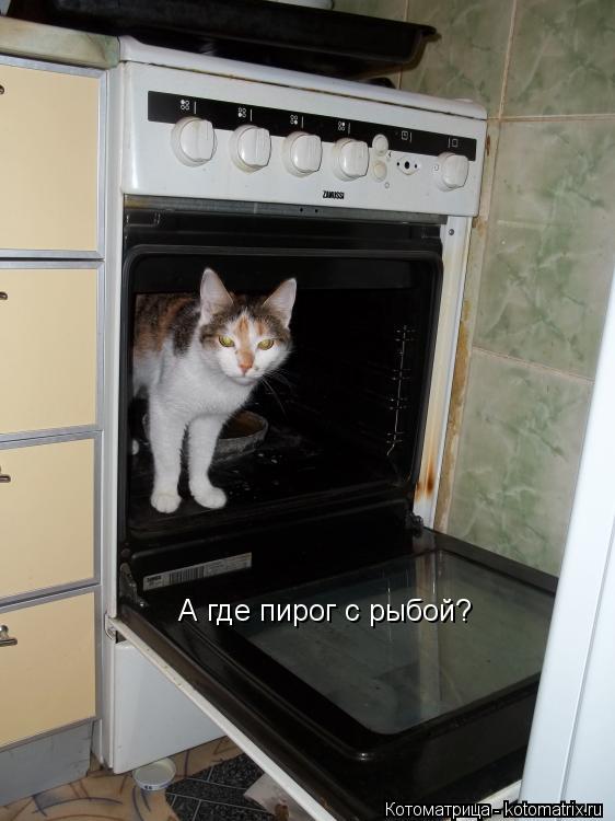 А где пирог с рыбой?... Котоматрица: А где пирог с рыбой?