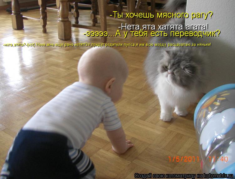 -Нета,ята хатята агата! -эээээ...А у тебя есть переводчик? -Ты хочешь мясного рагу? -нета,атята?-(кот... Котоматрица: -Нета,ята хатята агата! -эээээ...А у тебя есть переводчик? -Ты хочешь мясного рагу? -нета,атята?-(кот) Неее,мне еще рано котят!Эх,придут родители