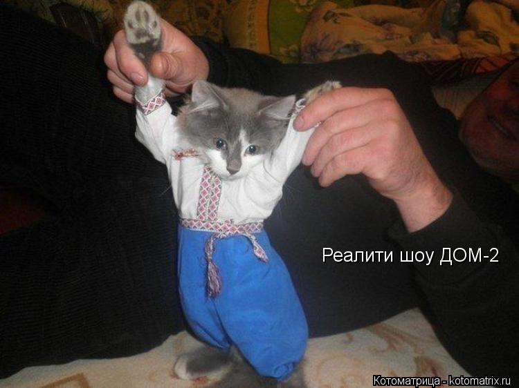 Реалити шоу ДОМ-2... Котоматрица: Реалити шоу ДОМ-2