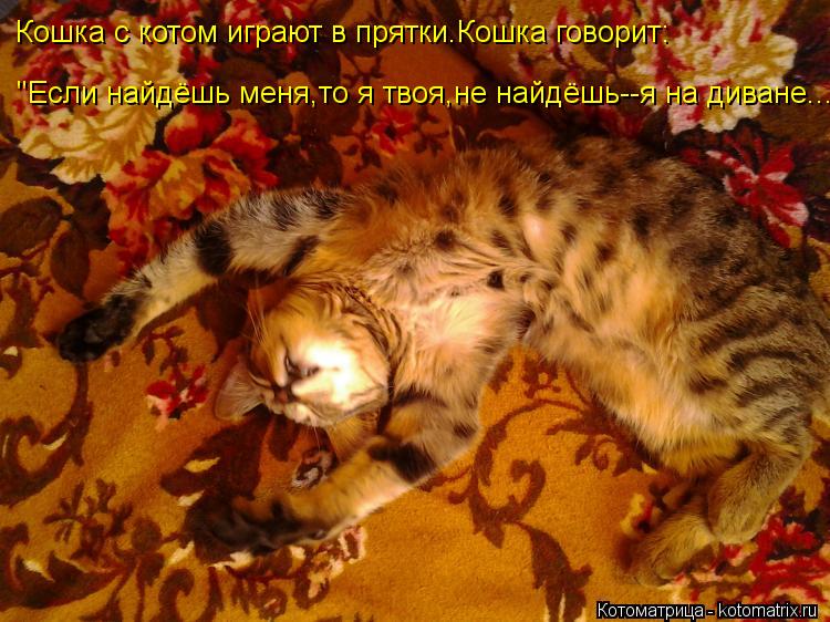 Кошка с котом играют в прятки.Кошка говорит: "Если найдёшь меня,то я твоя,не найдёшь--я на диване..."... Котоматрица: Кошка с котом играют в прятки.Кошка говорит: "Если найдёшь меня,то я твоя,не найдёшь--я на диване..."