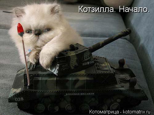 Котзилла. Начало.... Котоматрица: Котзилла. Начало.
