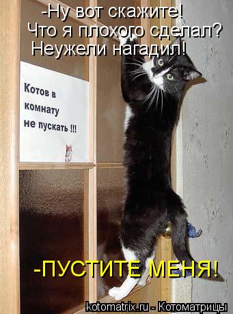 -Ну вот скажите! Что я плохого сделал? Неужели нагадил! -ПУСТИТЕ МЕНЯ!... Котоматрица: -Ну вот скажите! Что я плохого сделал? Неужели нагадил! -ПУСТИТЕ МЕНЯ!