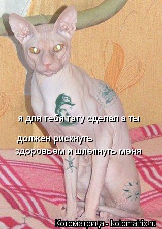 я для тебя тату сделал а ты должен рискнуть здоровьем и шлепнуть меня... Котоматрица: я для тебя тату сделал а ты должен рискнуть здоровьем и шлепнуть меня
