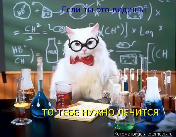 Если ты это видишь! ТО ТЕБЕ НУЖНО ЛЕЧИТСЯ... Котоматрица: Если ты это видишь! ТО ТЕБЕ НУЖНО ЛЕЧИТСЯ