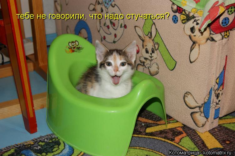 тебе не говорили, что надо стучаться?... Котоматрица: тебе не говорили, что надо стучаться?