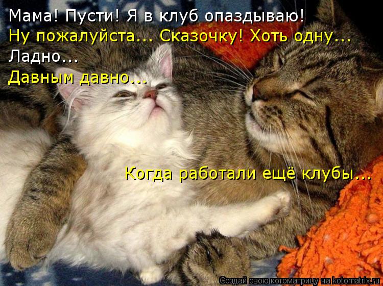 Мама! Пусти! Я в клуб опаздываю! Ну пожалуйста... Сказочку! Хоть одну... Ладно... Давным давно... Ког... Котоматрица: Мама! Пусти! Я в клуб опаздываю! Ну пожалуйста... Сказочку! Хоть одну... Ладно... Давным давно... Когда работали ещё клубы...