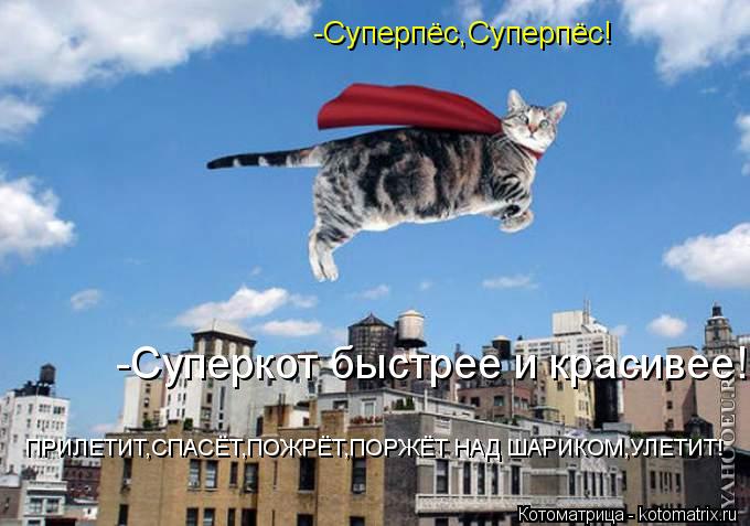 -Суперпёс,Суперпёс! -Суперкот быстрее и красивее! ПРИЛЕТИТ,СПАСЁТ,ПОЖРЁТ,ПОРЖЁТ НАД ШАРИКОМ,УЛЕТИТ!... Котоматрица: -Суперпёс,Суперпёс! -Суперкот быстрее и красивее! ПРИЛЕТИТ,СПАСЁТ,ПОЖРЁТ,ПОРЖЁТ НАД ШАРИКОМ,УЛЕТИТ!