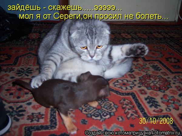 зайдёшь - скажешь.....эээээ... мол я от Сереги,он просил не болеть...... Котоматрица: зайдёшь - скажешь.....эээээ... мол я от Сереги,он просил не болеть...