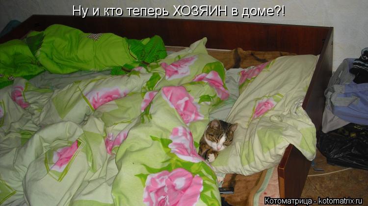 Ну и кто теперь ХОЗЯИН в доме?!... Котоматрица: Ну и кто теперь ХОЗЯИН в доме?!