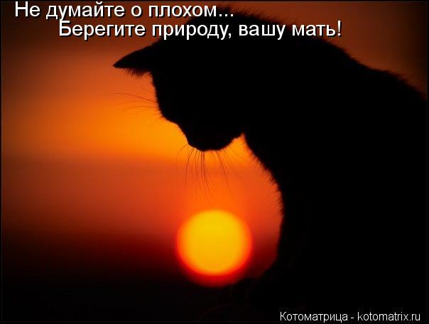 Не думайте о плохом... Берегите природу, вашу мать!... Котоматрица: Не думайте о плохом... Берегите природу, вашу мать!