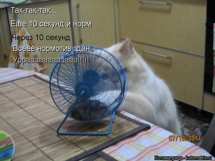 Так-так-так... Ешё 10 секунд и норм Через 10 секунд Всёёё нормотив здан. Урраааааааааааа!!!!!... Котоматрица: Так-так-так... Ешё 10 секунд и норм Через 10 секунд Всёёё нормотив здан. Урраааааааааааа!!!!!