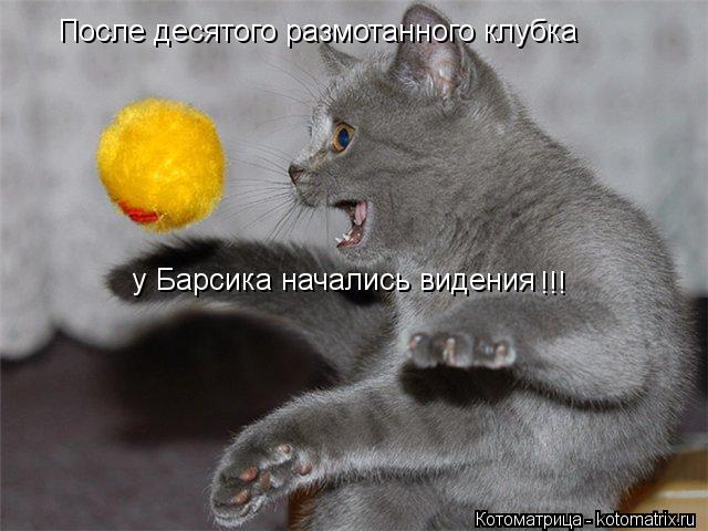 После десятого размотанного клубка у Барсика начались видения !!!... Котоматрица: После десятого размотанного клубка у Барсика начались видения !!!