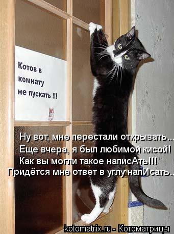 Ну вот, мне перестали открывать... Еще вчера, я был любимой кисой! Как вы могли такое написАть!!! При... Котоматрица: Ну вот, мне перестали открывать... Еще вчера, я был любимой кисой! Как вы могли такое написАть!!! Придётся мне ответ в углу напИсать...