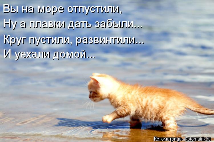 Вы на море отпустили, Ну а плавки дать забыли... Круг пустили, развинтили... И уехали домой...... Котоматрица: Вы на море отпустили, Ну а плавки дать забыли... Круг пустили, развинтили... И уехали домой...