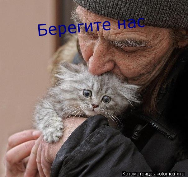Берегите нас... Котоматрица: Берегите нас