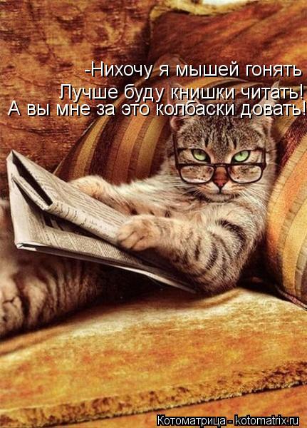 -Нихочу я мышей гонять Лучше буду книшки читать! А вы мне за это колбаски довать!... Котоматрица: -Нихочу я мышей гонять Лучше буду книшки читать! А вы мне за это колбаски довать!