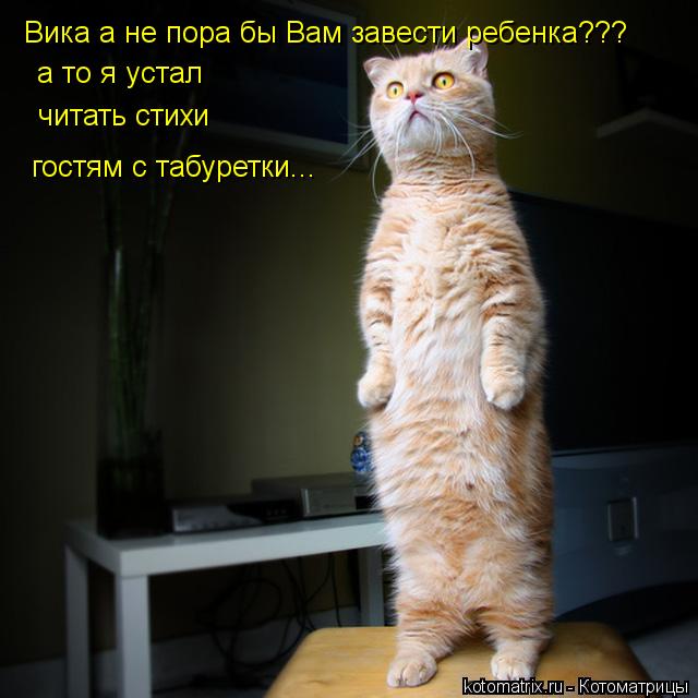 Вика а не пора бы Вам завести ребенка??? а то я устал читать стихи гостям с табуретки...... Котоматрица: Вика а не пора бы Вам завести ребенка??? а то я устал читать стихи гостям с табуретки...
