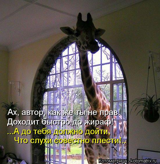 Ах, автор, как же ты не прав! Доходит быстро до жираф! ...А до тебя должно дойти, Что слухи совестно ... Котоматрица: Ах, автор, как же ты не прав! Доходит быстро до жираф! ...А до тебя должно дойти, Что слухи совестно плести!..