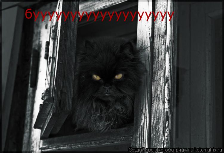 бууууууууууууууууууу... Котоматрица: бууууууууууууууууууу