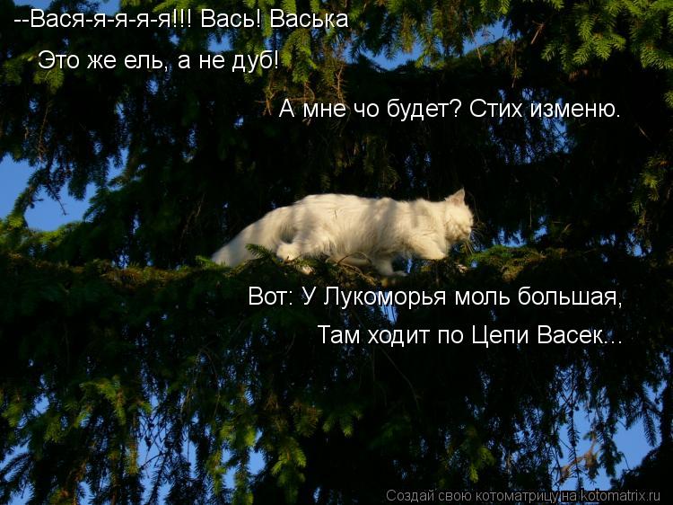 --Вася-я-я-я-я!!! Вась! Васька Это же ель, а не дуб! А мне чо будет? Стих изменю. Вот: У Лукоморья мо... Котоматрица: --Вася-я-я-я-я!!! Вась! Васька Это же ель, а не дуб! А мне чо будет? Стих изменю. Вот: У Лукоморья моль большая, Там ходит по Цепи Васек...