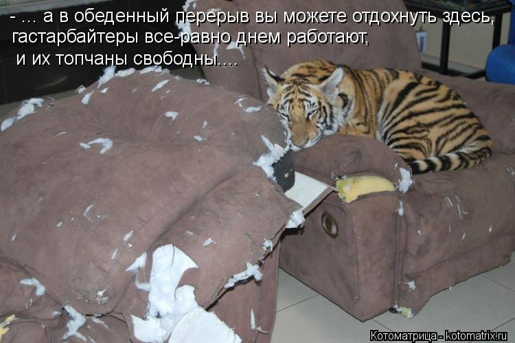 - ... а в обеденный перерыв вы можете отдохнуть здесь, гастарбайтеры все-равно днем работают, и их т... Котоматрица: - ... а в обеденный перерыв вы можете отдохнуть здесь, гастарбайтеры все-равно днем работают, и их топчаны свободны....
